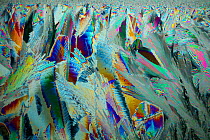 Ice crystals viewed by polarised light.