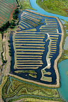 Aerial view of fish farm, La Guittiere Marsh, South Vendee, France, July 2017.