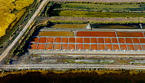 Salt evaporation ponds on Ile de Re, Charente-Maritime, France, Atlantic Coast. July 2017. The colours are produced by the concentration of algae or halobacteria that live in the ponds which indicates...