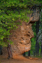 'The Man's Face', a geological formation of eroded limestone and dolomite, Ciudad Encantada, Serrana de Cuenca Natural Park, Cuenca, Castilla-La Mancha, Spain, October 2016.