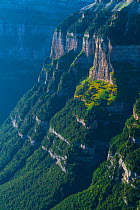 Ordesa y Monte Perdido National Park, Huesca, Aragon, Spain, Europe