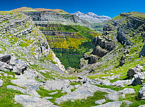 Ordesa y Monte Perdido National Park, Huesca, Aragon, Spain, July 2016.