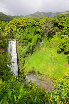 Makahiku Falls, along the Pipiwai Trail in Ohe'o Gulch, Haleakala National Park, Kipahulu, Maui, Hawaii.