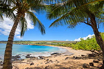 Four Seasons Resort over looking  beach and palm tree's at Hulopo'e Beach Park, Lanai Island, Hawaii, USA.