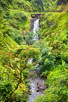 Waterfall, Haleakala National Park, Maui, Hawaii. June.