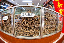 Glass cases full of dried seahorese for sale at a medicine shop in Guangzhou, China.  July 2010.