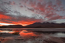 Laguna Hedionda at sunrise, between Polques and Quetena, Altiplano, Bolivia, April 2017.