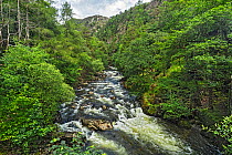Glaslyn River flowing through the Aberglaslyn Pass, looking north from the bridge near Nantmor, south of Beddgelert, North Wales, UK, June 2017