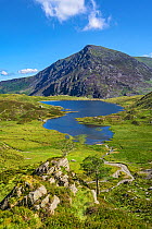 Llyn Idwal viewed from the path up to the Devil's Kitchen with Pen yr Ole Wen in the background, Snowdonia National Park, North Wales, UK, July 2017