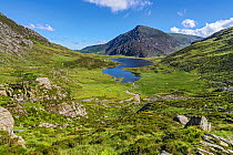 Llyn Idwal viewed from the path up to the Devil's Kitchen, with Pen yr Ole Wen in the background, Snowdonia National Park, North Wales, UK, July 2017