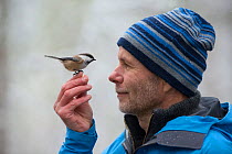 Photographer Erlend Haarberg, with a Siberian tit (Poecile cinctus) on his hand. Laponia / Swedish Lapland.
