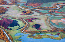 Aerial view of the Laitaure delta or Rapa river delta in autumn. Rapadalen, Sarek National Park, Laponia UNESCO World Heritage Site Swedish Lapland, Sweden. September 2013.