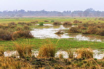Mare Fogou (Fogou Water Hole) in wetlands of Pendjari National Park, Benin.  February 2009.
