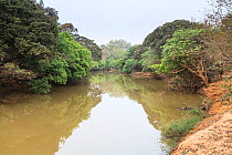The Pendjari River, Natural Border between Burkina Faso and Benin, Pendjari National Park, Benin.