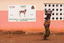 Woman carrying baby on her back and a large bowl of water on her head walking past school with painting promoting protection for  the African Wild Dog / Painted Dog (Lycaon pictus)  endangered and ver...