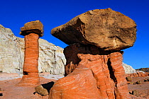 Cap-rock pinnacles called hoodoos, Grand Staircase-Escalante National Monument,  Utah, USA