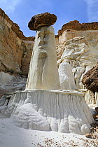 Cap-rock pinnacles called hoodoos in Wahweap Hoodoos, Grand Staircase-Escalante National Monument, Utah, USA