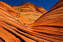 Coyotte Buttes, patterns formed by erosion in Sandstone, Vermilion Cliffs National Monument, Arizona, USA, March 2014.
