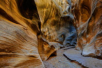 Willis Creek, slot canyon with eroded Sandstone patterns, Grand Staircase-Escalante National Monument, Utah, USA, March 2014.