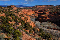 View over Gulch Canyon, Grand Staircase-Escalante National Monument, Utah, USA, March 2014.