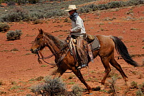 Cowboy on horseback,   Grand Staircase-Escalante National Monument, Utah, USA, March 2014.