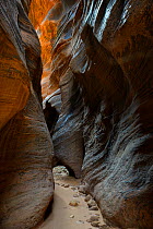 Buckskin Canyon, a slot canyon with eroded sandstone patterns, Grand Staircase-Escalante National Monument, Utah, USA, March 2014.