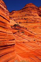 Coyotte Buttes, patterns formed by erosion in sandstone, Vermilion Cliffs National Monument, Arizona, USA, March 2014.