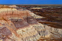 Badlands formations in Blue Mesa, Painted Desert, Petrified Forest National Park, Arizona, USA. April 2014.