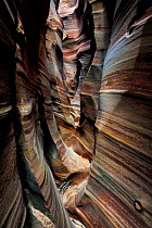 Zebra Canyon, a slot canyon with eroded sandstone patterns, Grand Staircase-Escalante National Monument, Utah, USA, April.