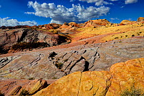 Coloured rocks, Valley of Fire State Park, Nevada, USA. February 2014.