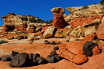 Sandstone hoodoo and basalt boulders, Capitol Reef National Park, Utah, USA, March 2014.