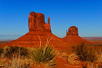 West Mitten Butte and East Mitten Butte, Monument Valley Navajo Tribal Park, Utah-Arizona, USA