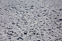 Aerial view of sea ice, near Cape Evans, Ross Island, Ross Sea, Antarctica. Photographed for The Freshwater Project