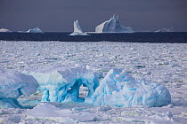 Sea ice and icebergs, Bellinghausen Sea, en route to Peter I Island, Antarctic Peninsula, Antarctica, January. Photographed for The Freshwater Project