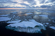 Sea ice, Bellinghausen Sea, near Peter I Island, Antarctica January. Photographed for The Freshwater Project
