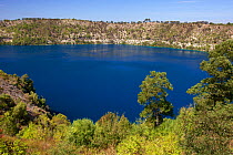 Blue Lake, lake in an extinct volcanic maar (a broad, low-relief volcanic crater)  Mount Gambier, South Australia, Australia, March 2015 . Photographed for The Freshwater Project