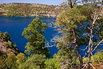Blue Lake, lake in an extinct volcanic maar (a broad volcanic crater)  Mount Gambier, South Australia, Australia, March 2015 . Photographed for The Freshwater Project