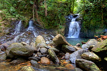 The Garden of Eden, at north entrance of Deer Cave Area of the Sungai Melinau River, Gunung Mulu National Park, Sarawak, Borneo, Malaysia. Photographed for The Freshwater Project.