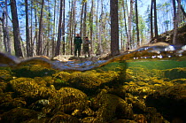 Split level view of the Temnik River with the guides in the background, Temnik River, Baikal Nature Reserve, Buryatia, Siberia, Russia, May 2015.