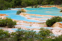 Travertine terraces, landscape in Huanglong Scenic and Historic Interest Area UNESCO World Heritage Sites, Sichuan, China. August . Photographed for The Freshwater Project