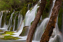 Jian Zhu Pu Bu (Arrow Bamboo Lake Waterfall), Jiuzhaigou National Park, Jiuzhaigou Valley Scenic and Historic Interest Area UNESCO World Heritage Site, Sichuan, China. May 2013. Photographed for The F...