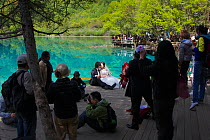 Visitors at Five Flower Lake, including bride and groom having wedding photographs taken. Jiuzhaigou National Park, Jiuzhaigou Valley Scenic and Historic Interest Area UNESCO World Heritage Site, Sich...