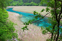 Lu Wei Hai (Reed Lake), Jiuzhaigou National Park, Jiuzhaigou Valley Scenic and Historic Interest Area UNESCO World Heritage Site, Sichuan, China. May 2013 . Photographed for The Freshwater Project