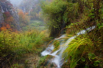 Long exposure of waterfall in Plitvice National Park, Lakes of Plitvice,  Croatia. October.
