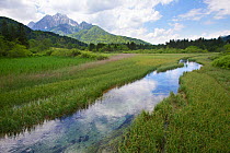 Sava Dolinka River, just after spring, part of the Natura 2000 European ecological network, Slovenia. June 2013. Photographed for The Freshwater Project