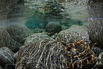 Underwater view of rocks and rippled sunlight in the Verzasca River, Lavertezzo area, Canton Tessin, Switzerland. May. Photographed for the Freshwater Project.