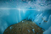 Underwater view of cryoconite hole, a hole formed by windblown dust and particles which warm up ice of glacier and creates meltwater holes. Gorner Glacier, Valais Alps, Canton Valais / Wallis, Switzer...