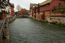 River Itchen, chalk stream flowing through Winchester, Hampshire, England, UK, May. Photographed for The Freshwater Project.