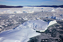 Aerial view of the Ilulissat Icefjord, with the Sermeq Kujalleq Glacier or Jakobshavn Isbrae entering the sea,  Ilulissat Icefjord UNESCO World Heritage Site, Greenland,  2014 August 2014 . Photograph...