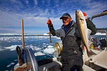 Inuit fisherman, fishing for Atlantic cod (Gadus morhua) Ilulissat Icefjord UNESCO World Heritage Site, Greenland, August 2014.  Photographed for the Freshwater Project.